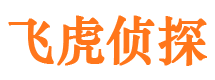 崇安市婚姻出轨调查